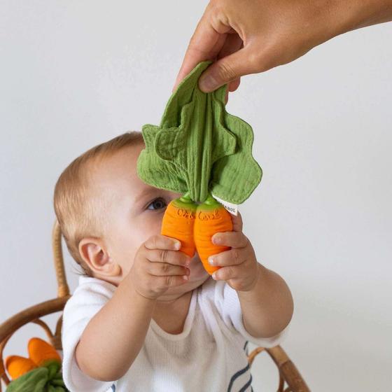 Oli&Carol Mini Doudou-Teether Cathy the Carrot