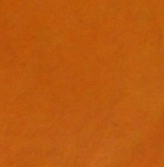 Daphne - orange