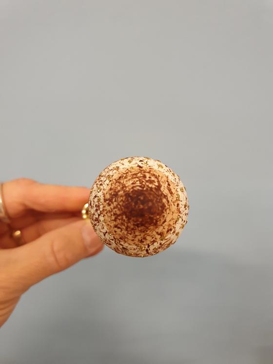 Glas Pilz braun auf Feder aus Thüringen