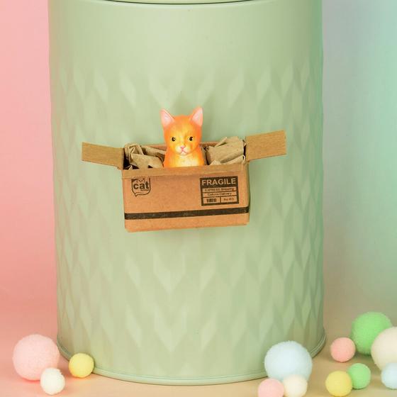 KATZENMUDDI Katze im Karton Magnet - orange