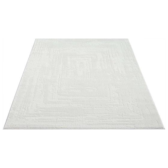 Flair grey Teppich