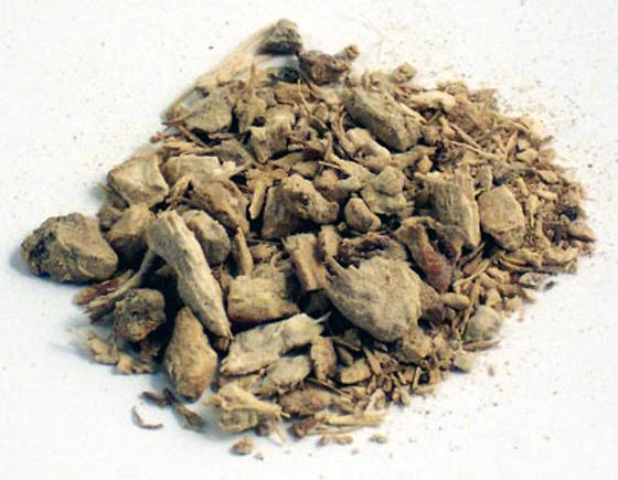 Galgant indisch