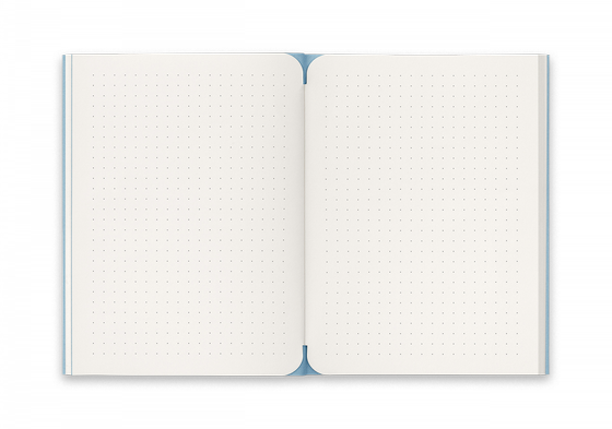 reinheft L - punktiert Notizheft, blau