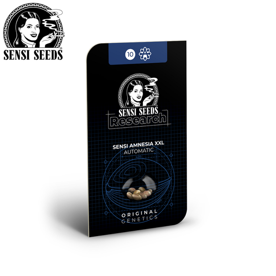 Samen, Sensi Seeds®, Sensi Amnesia XXL, Auto