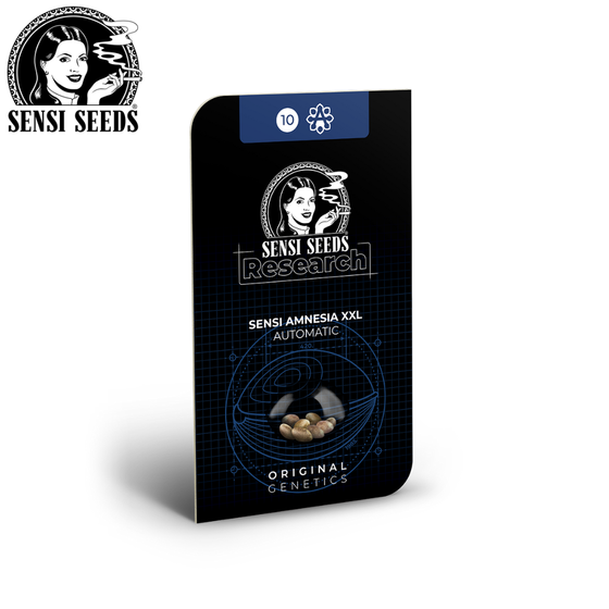 Samen, Sensi Seeds®, Sensi Amnesia XXL, Auto