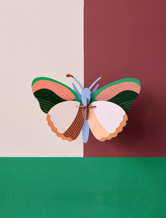 Studio Roof Sycamore Butterfly