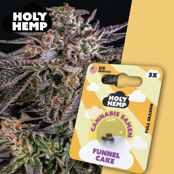 Samen, Holy Hemp, Funnel Cake