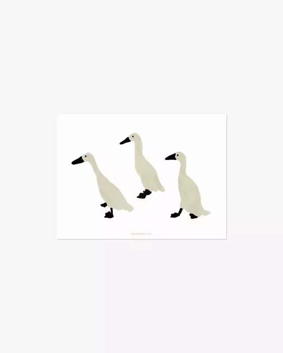 Warmgrey Tail Postkarte - Indian Runner Duck