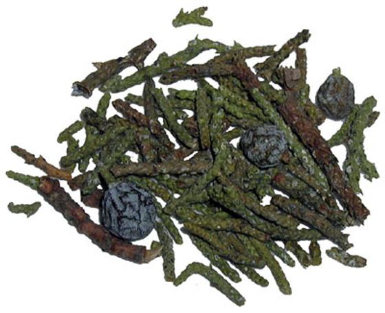 Wacholderspitzen USA