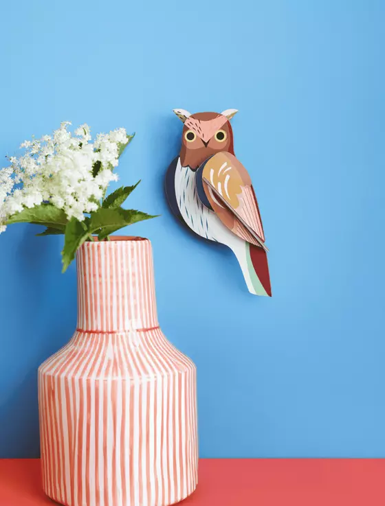 Studio Roof Tawny Owl Eule