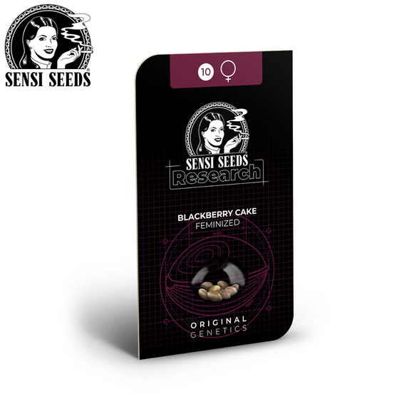 Samen, Sensi Seeds®, Blackberry Cake