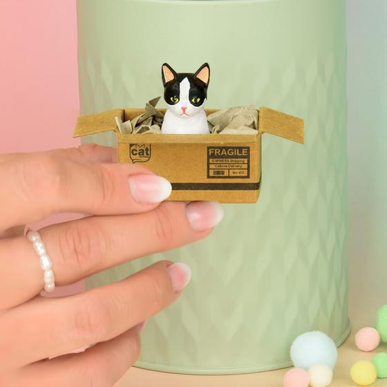 KATZENMUDDI Katze im Karton Magnet - schwarz weiß