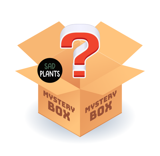 Sad Plants Mystery Box ab