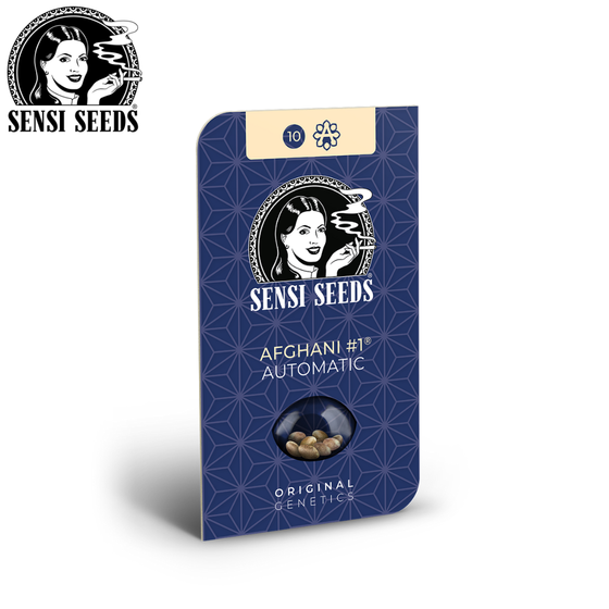 Samen, Sensi Seeds®, Afghani #1, Auto