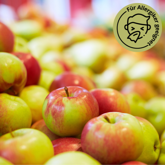 Bio Santana Apfel 