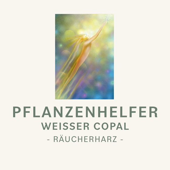 Weißer Copal Pflanzenhelfer