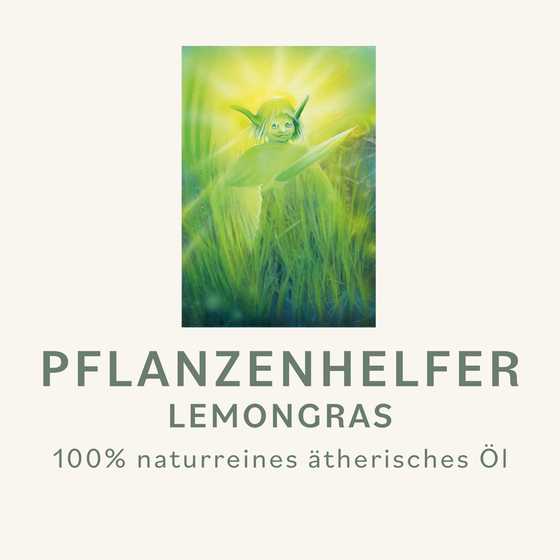 Lemongras Pflanzenhelfer