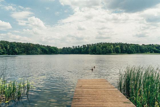 Take me to the Lakes - Bicycle Edition Berlin