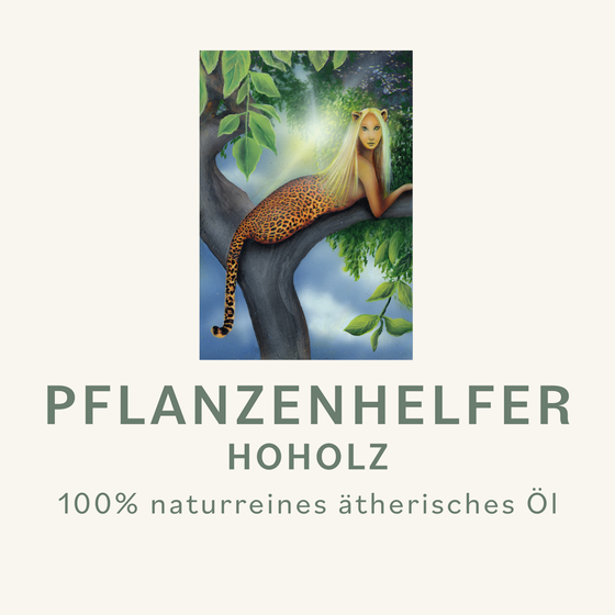 Hoholz Pflanzenhelfer
