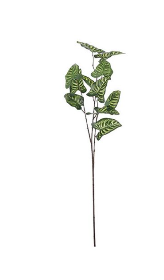Kunstpflanze | Zweig Syngonium - 78cm