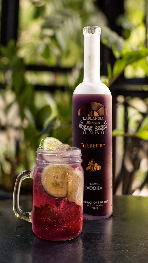 Laplandia Bilberry Wodka 40 % (700ml)