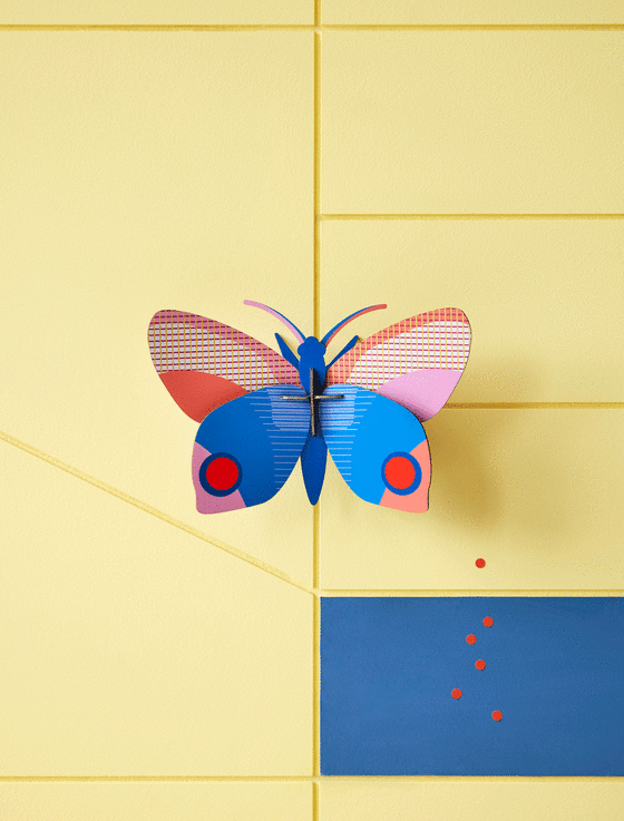 Studio Roof Hapi Butterfly