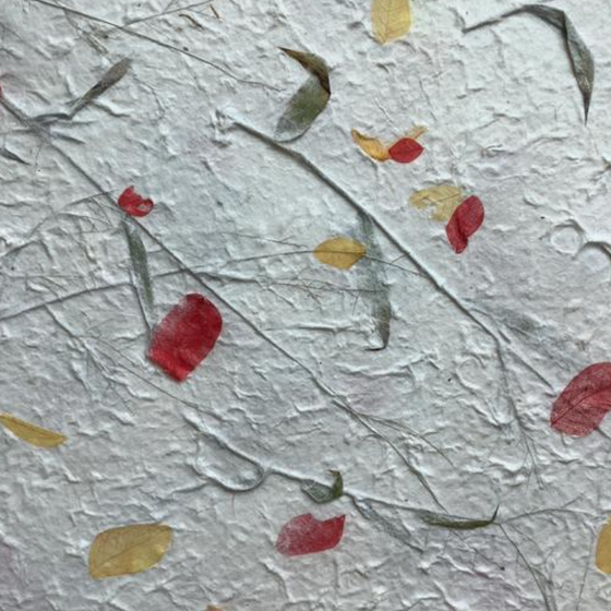 Kozo mit Blumen-Mix