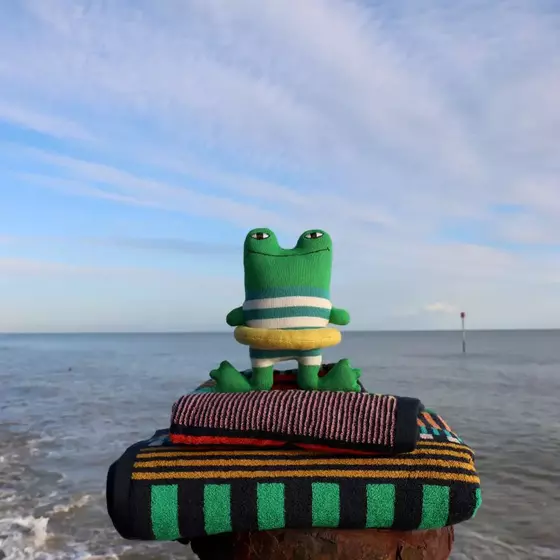 Frederic Frog von Donna Wilson
