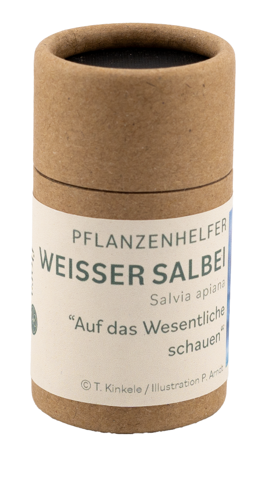 Weißer Salbei Pflanzenhelfer