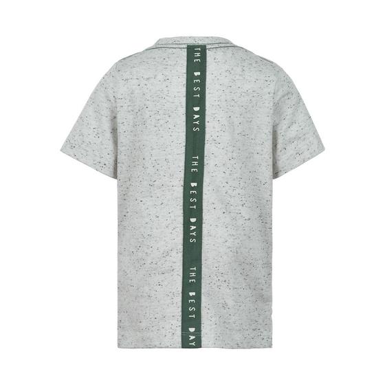 T-Shirt "Dinosaurier", Biobaumwolle, grau-melange