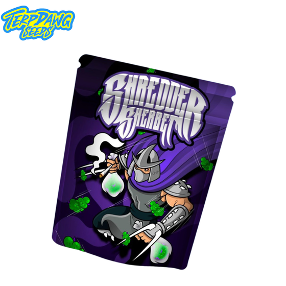Samen, Terpdawg Seeds, Shredders Sherbet