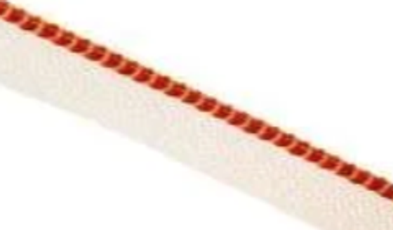 Kapitalband