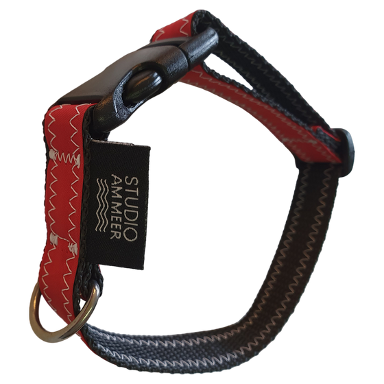 Upcycling Hundehalsband Unique S