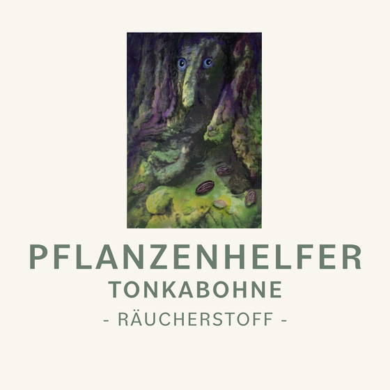 Tonkabohne Pflanzenhelfer