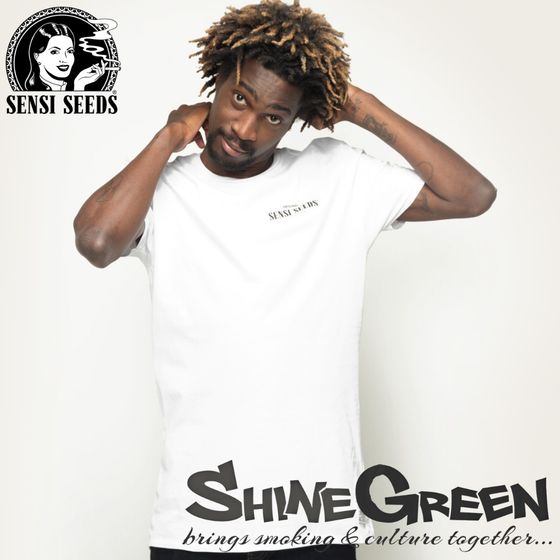 T-Shirt, Sensi Seeds®, Urban Long Tee, Weiß, Promo 1