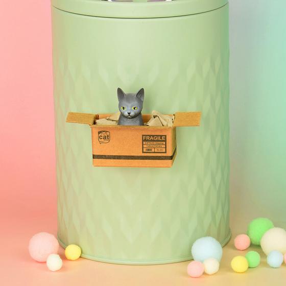 KATZENMUDDI Katze im Karton Magnet - grau