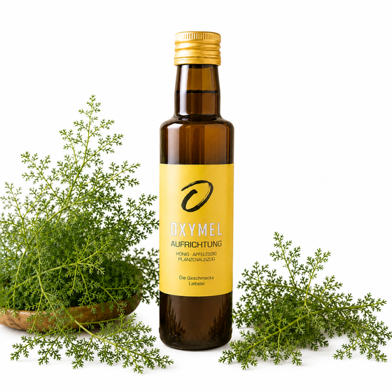 Oxymel "Aufrichtung"- alkoholfreier Pflanzenauszug 