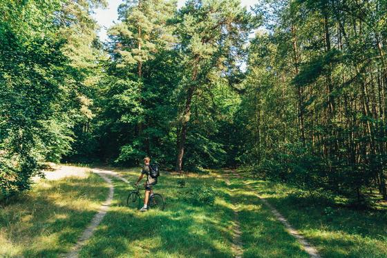 Take me to the Lakes - Bicycle Edition Berlin