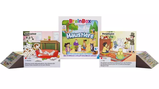 BrainBox Spiel Haustiere 