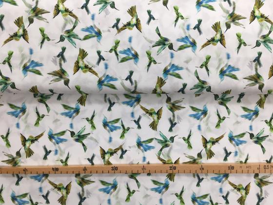 Baumwolle Singapur Kolibri