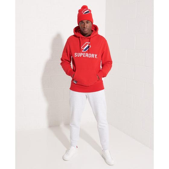 SUPERDRY CODE LOGO APQ 2 HOOD