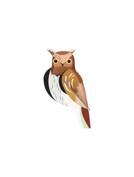 Studio Roof Tawny Owl Eule