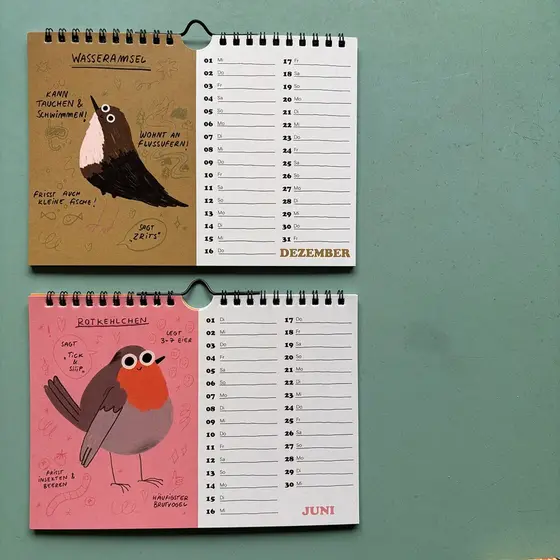 Der Vogel Fakten Kalender 2027 von Slinga