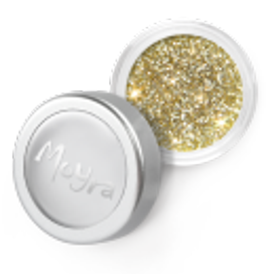 Glitzer Pulver Dose Nr. 05