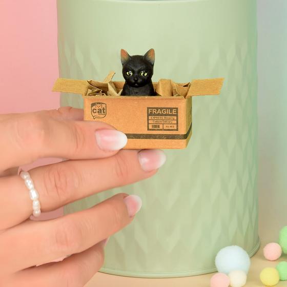 KATZENMUDDI Katze im Karton Magnet - schwarz
