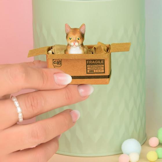 KATZENMUDDI Katze im Karton Magnet - braun getigert