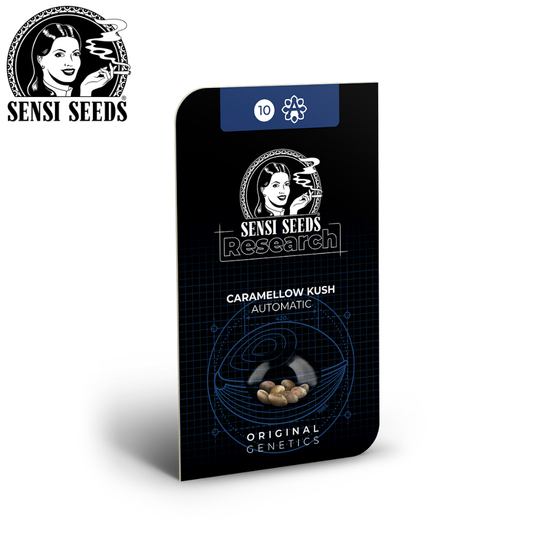 Samen, Sensi Seeds®, Caramellow Kush, Auto