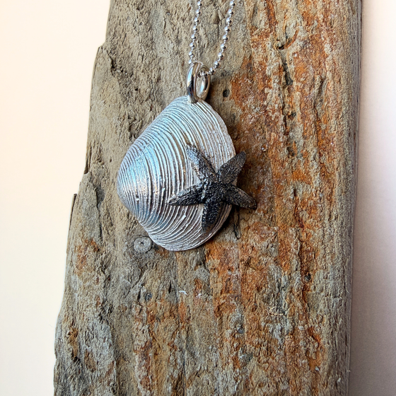 anhaenger:silber_venusmuschel_ostsee