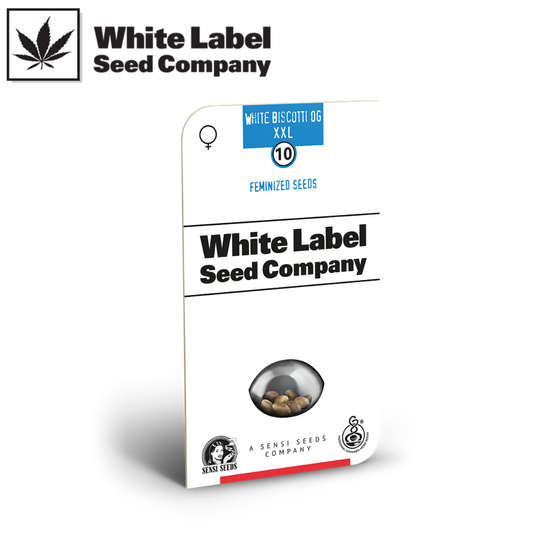 Samen, White Label Seeds, White Biscotti OG XXL