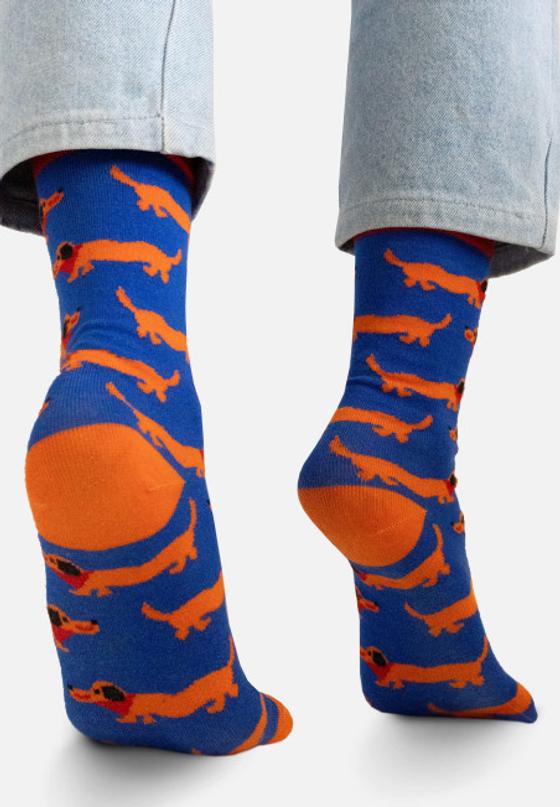 Organic Socken Dackel von Kabak